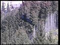 Queenstown AJ Hackett Bungy \"The Ledge\" Queenstown AJ Hackett Bungy \"The Ledge\"