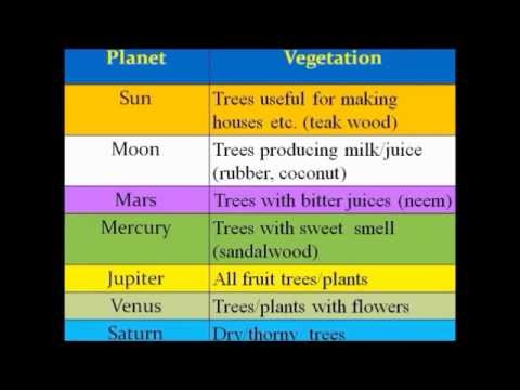 Vedic Astrology Classes - 5