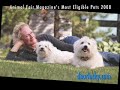 Most Eligible Pets 2008!