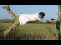 Balloon Bullet-Time - The Slow Mo Guys
