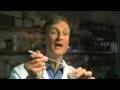 videos de Evolution:  Did Humans Evolve?