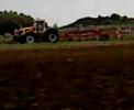 CEREALS 2007