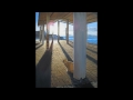 Click here to watch this video IGNACIO SORIANO - PINTURAS/MARINAS - SEA PAINTINGS - GANDÍA, VALENCIA