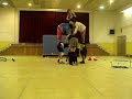 Expressió corporal cfgs vilanova