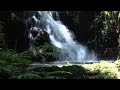 Jim Kimo West-Lullaby For My Tutu
