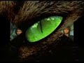 micloopy/DJ Mast-Eye Of The Tiger Club REMIX(Russian)