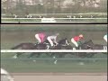 061223??11R???NIKKEI2??????(G3) ????????