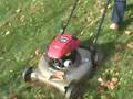 videos de Mulching Your Leaves