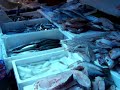 Etalage de poissons au Portugal