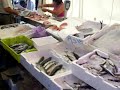 Etalage de poissons au Portugal