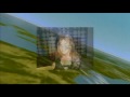 miss transsexual.
documentary film from a life of transsexuals shown on television channel yes doco http://www.yes.co.il/
about annual competition transsexuals, spent to thailand. 
director: andy wells. england. 2007.
48 min.
language: english, (subtitles hebrew)