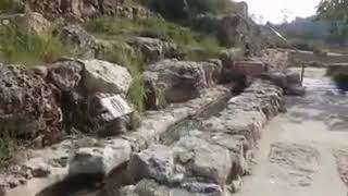  | موسوعة التراث الفلسطيني