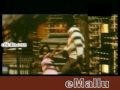 Search Video