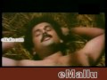 Search Video