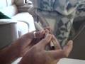 o maior beck baseado do br/the brasilian biggest marijuana