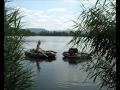 Carpoholic