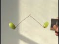Diamagnetic Grapes