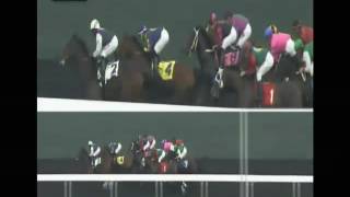 Grand Prix Maiden Win Golden Gate Fields 2016
