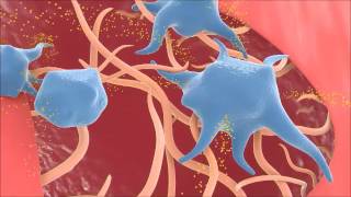 PRP Tedavisinin Vücuda Etkileri