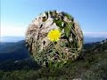 C�te d\