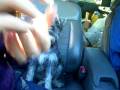 Duches Gives High-5 to Tina