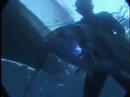 Pesca in apnea in Nicaragua
