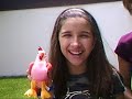 Beanie baby Show