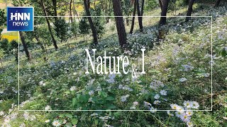 시골 산자락 '가을향기'