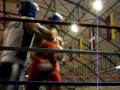 videos de box alex 