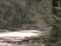 Gerald Schofield, 2009 Alpine Rally.mov