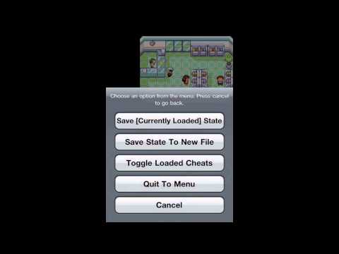 how to get black belt in pokemon emerald