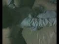 taina
