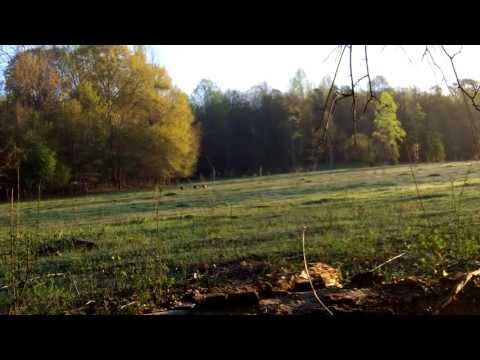 2013 GA Turkey Hunt