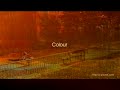 Sony Bravia: Paint - Remastered.