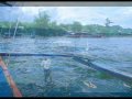 tinawag-kita.html