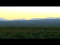 Pulenta Estate enologo bodega vinos.wmv