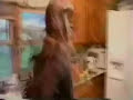 Wesley Willis- Birdman Kicked My Ass Video