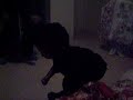 Picture 027.MOV