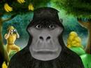 I am not King Kong! I am not King Kong!