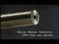 Can Your Server Survive a Ballistics Test? HP decided to tes Can Your Server Survive a Ballistics Test? HP decided to tes