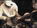 Mr.Tak - 불새 Fire Bird (feat. Darley) (Korean)