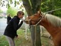videos de uther et moi