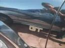 (Sheick)  3er. Coita Fest. tuning