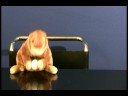WHACKO-TV EAT THE PRESS Pt. 2