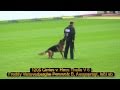 2010 SV BSZS TSB part 3 Ruden V1-V10 HD