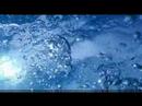 Pacifique Évo trailer Pacifique Évo trailer