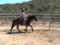 MOV067