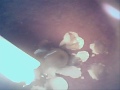 Candle and Bellybutton Pool