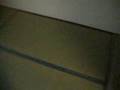 鶴2