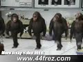 ??? ,??? .dance video ??? ,??? .dance video